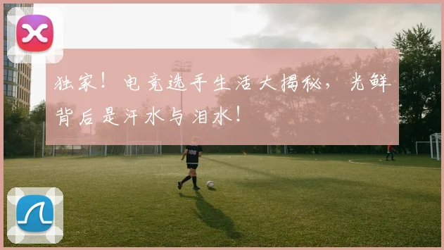 独家！电竞选手生活大揭秘，光鲜背后是汗水与泪水！