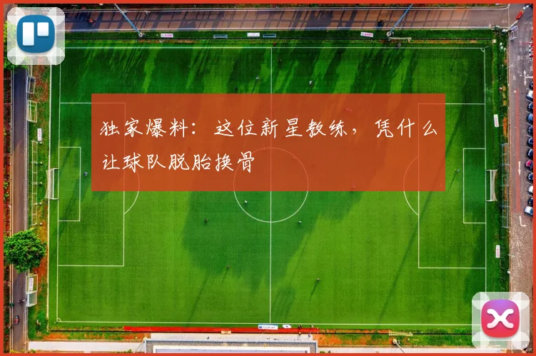 独家爆料:这位新星教练,凭什么让球队脱胎换骨